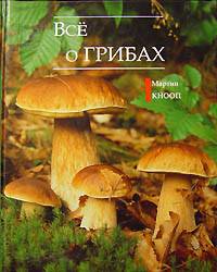 Klassifizierung von Pilzen Классификация грибов