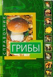 Klassifizierung von Pilzen Классификация грибов