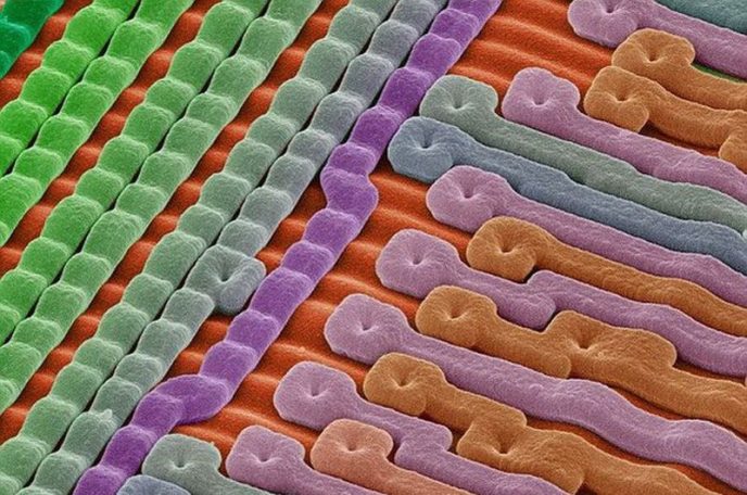 Die Oberfläche eines Silizium-Mikrochips - Übliche Dinge unter dem Mikroskop: Was verstecken sie? Поверхность кремниевого микрочипа - Обычные вещи под микроскопом
