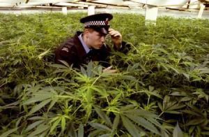Methoden der das Rauchen von Marihuana