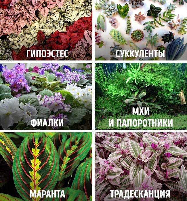 DIY Märchengarten Сказочный мини-сад своими руками