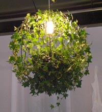 Lampe von Zimmerpflanzen