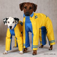Kleidung für Hunde