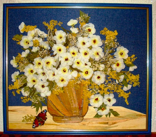 Bilder von getrockneten Blumen