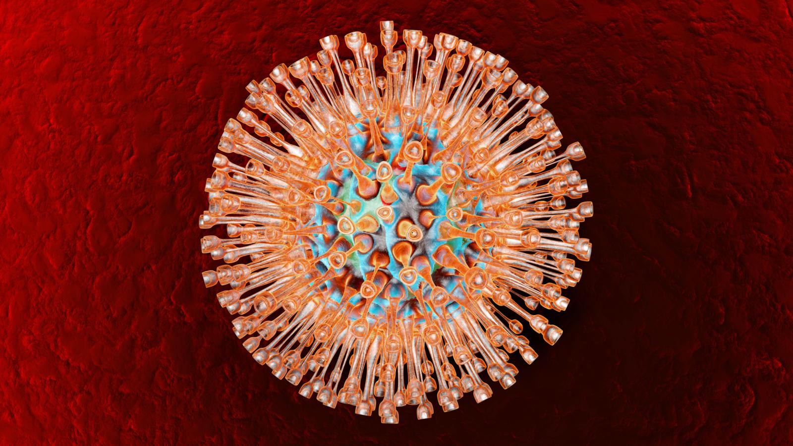 Erstaunliche Virus Fakten