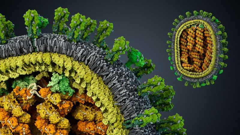 Erstaunliche Virus Fakten