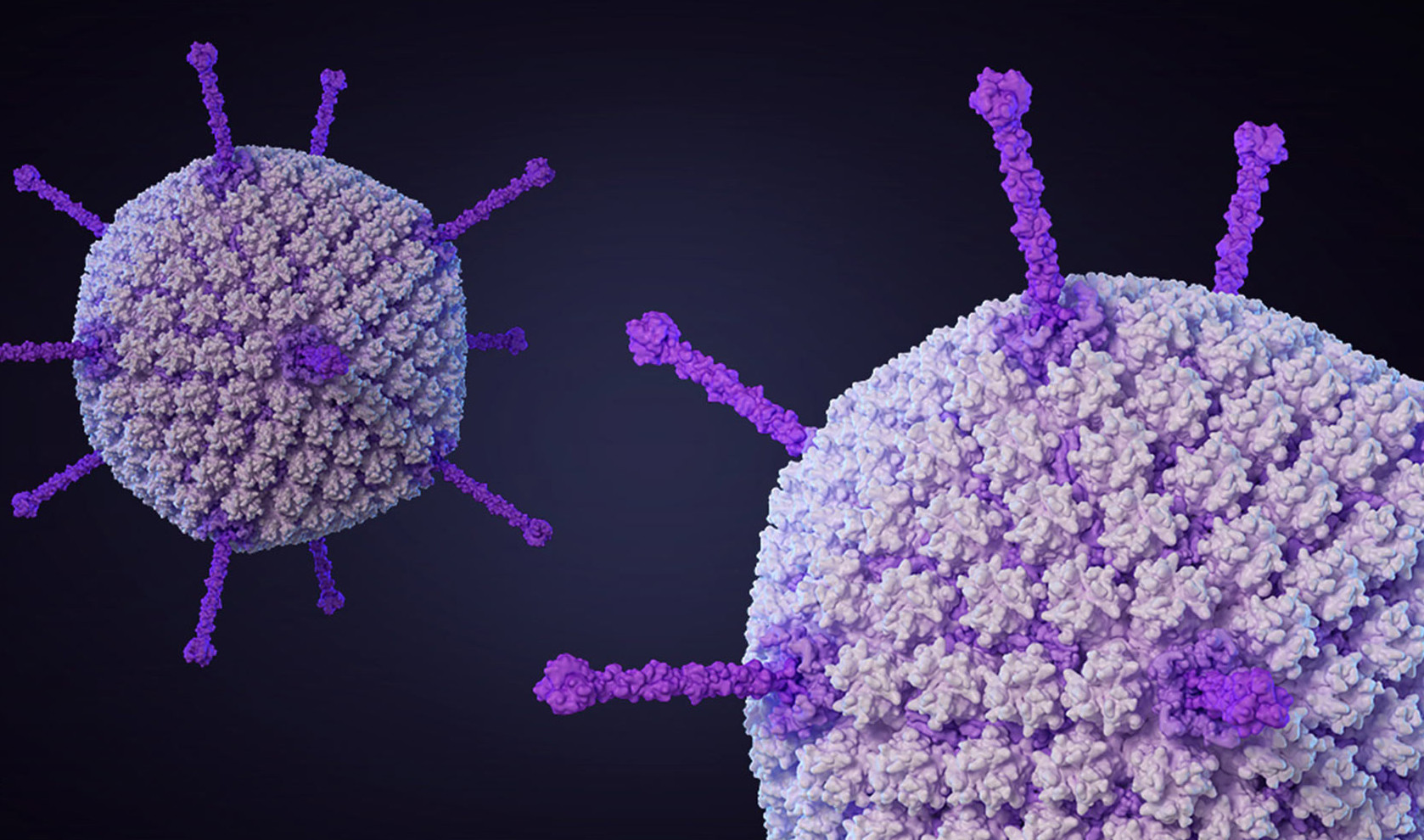 Erstaunliche Virus Fakten