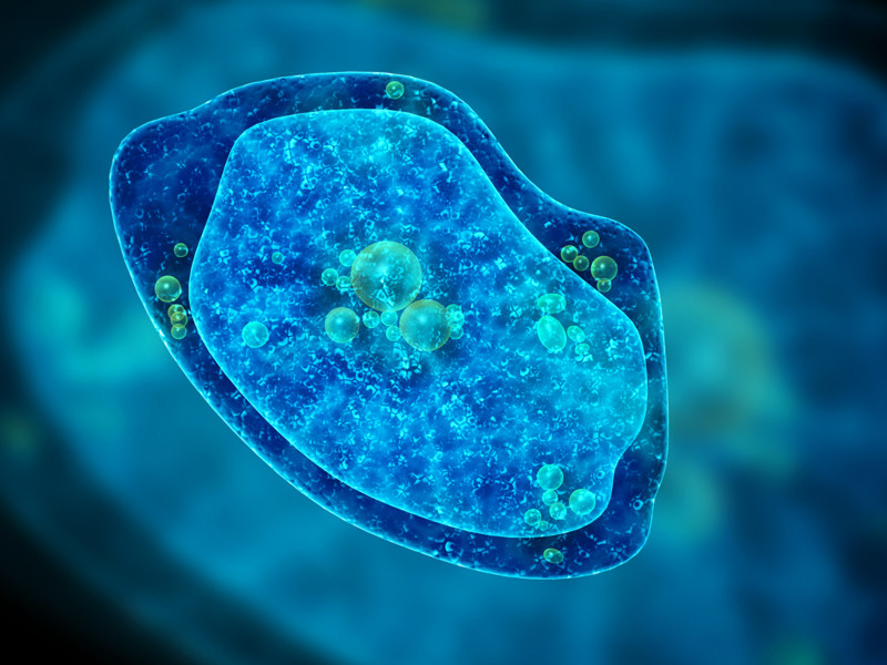 Erstaunliche Virus Fakten