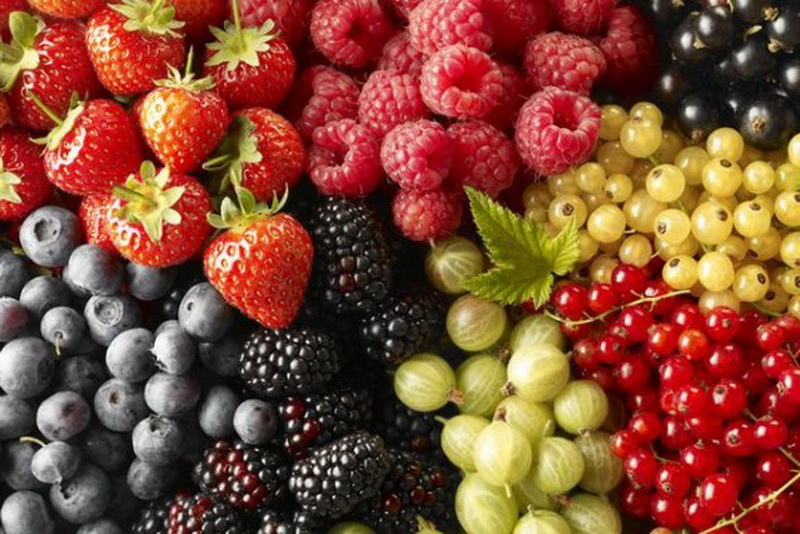 Vorteile von Beeren Польза разных ягод
