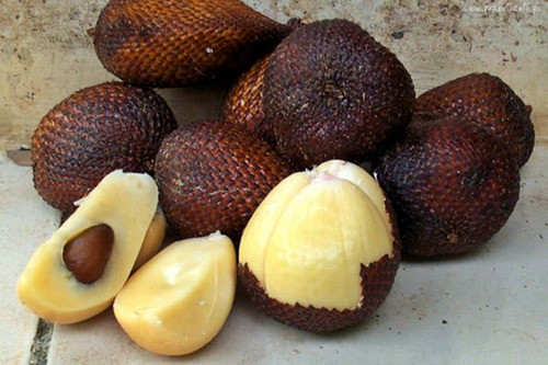 Schlangenfrucht - Exotische Früchte aus der ganzen Welt, von denen Sie noch nichts gehört haben Змеиный фрукт - Экзотические фрукты со всего света, о которых вы не слышали