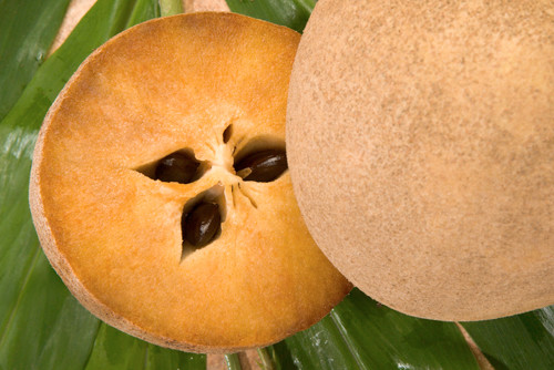 Zapodilla - Exotische Früchte aus aller Welt, von denen Sie noch nichts gehört haben Саподилла - Экзотические фрукты со всего света, о которых вы не слышали