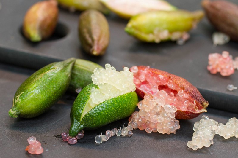 Finger Lime - Exotische Früchte aus aller Welt, von denen Sie noch nichts gehört haben Пальчиковый лайм - Экзотические фрукты со всего света, о которых вы не слышали
