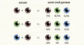 Wie Augenfarbe wird von den Eltern auf das Kind Рассчитать цвет глаз ребенка