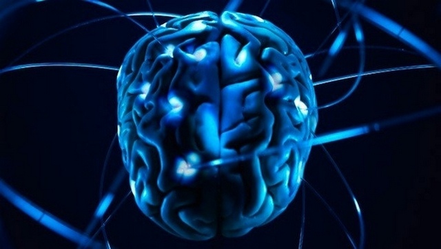 Скорость импульсов в мозге Невероятные факты о человеческом теле. Мозг