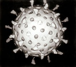 Rotavirus Ротавирус