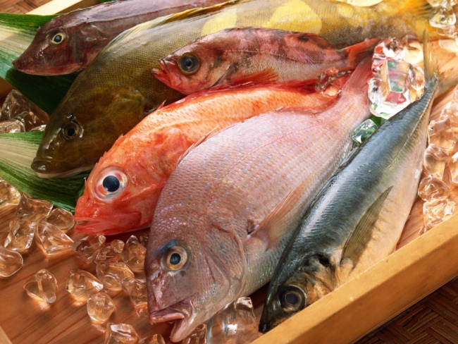 Wann ist es am besten, Flussfisch zu essen? Nützliche Eigenschaften von Flussfisch für den Körper; Ist es gut für den Menschen, fettigen Fisch zu essen? Полезные свойства рыбы