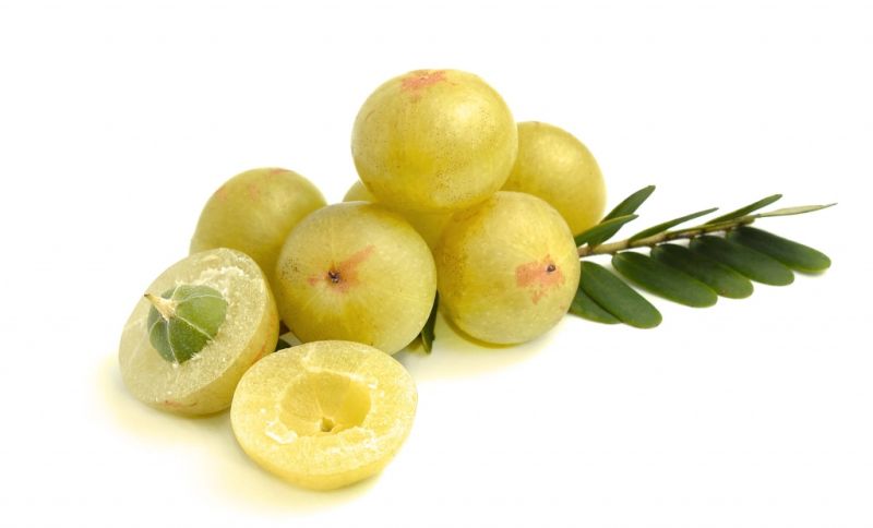 Gesunde Produkte für die Leber, die sie reinigen und schützen Очищение печени
