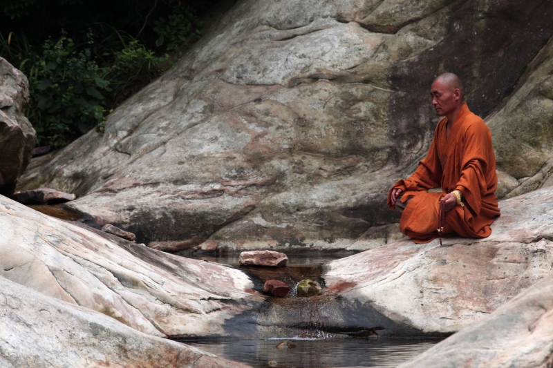 Mein Neurowissenschaftler Dalai Lama: Wie Meditation Wissenschaftler eroberte Медитация покорила ученых