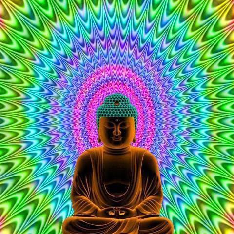Mein Neurowissenschaftler Dalai Lama: Wie Meditation Wissenschaftler eroberte Медитация покорила ученых