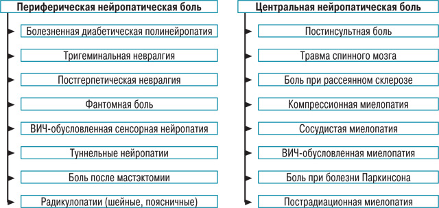 Neuropathischer Schmerz Нейропатическая боль