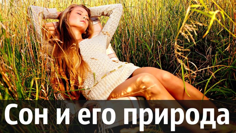 Schlaf als Ursache von Müdigkeit Сон как причина усталости