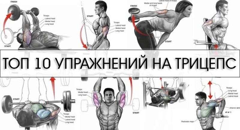 Übungen für den Aufbau von starken Trizeps Упражнения для трицепсов