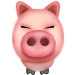 Свинья-pig