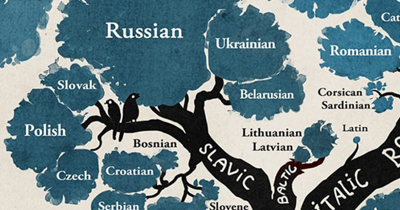 Sprachbaum: Ein von Linguisten zusammengestelltes Schema Дерево языков