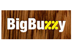 Das Unternehmen BigBuzzy