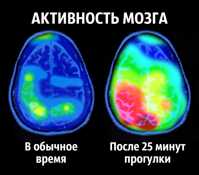 Neurowissenschaften geben Tipps, wie man ein für allemal glücklich wird Как стать счастливым
