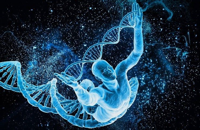 DNA nimmt menschliche Sprache wahr. Lerne wenig zu sagen Учитесь мало говорить