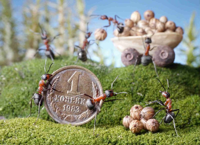 Zeichen, wie man Geld anzieht Приметы чем привлечь деньги