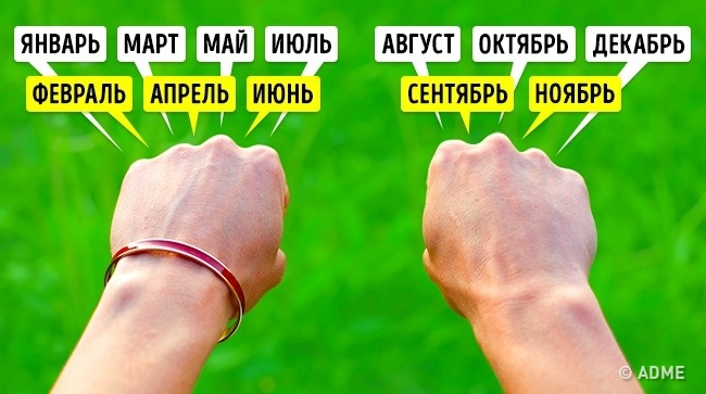 Finde die Anzahl der Tage in einem Monat heraus - Einfache alltägliche Tricks Узнать количество дней в месяце - Этим хитростям нас научили еще в школе, и они до сих пор работают