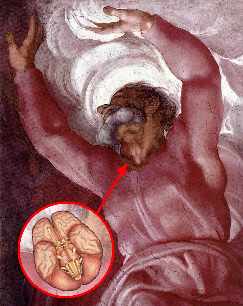 Michelangelos anatomischer Code - Mystische Geheimnisse verschlüsselt in weltberühmten Leinwänden Анатомический код Микеланджело - Мистические тайны известных полотен