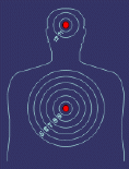Killer-Targets Shoot «ETWAS Verschiedenes» - interessantes Ziel für das Schießen