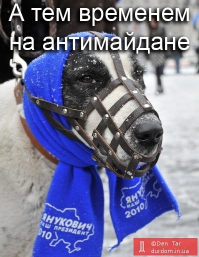 Приколы, фотожабы, евромайдан