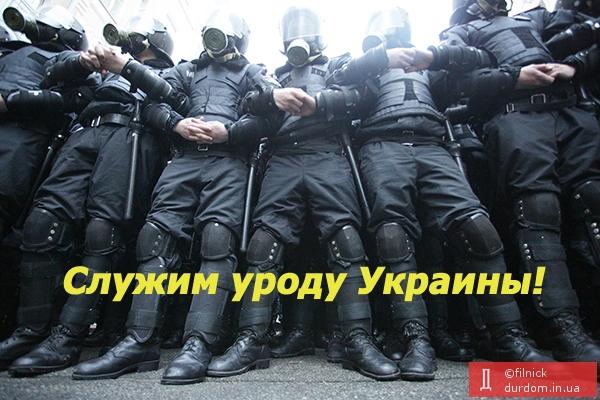 Приколы, фотожабы, евромайдан