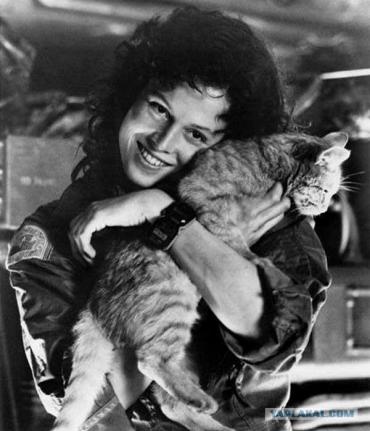 Darstellerin, Produzent Sigourney Weaver (Sigourney Weaver)