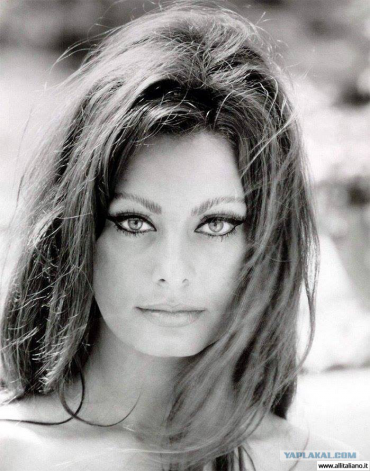 Schauspielerin, Sängerin, elegant Sophia Loren (Sophia Loren)