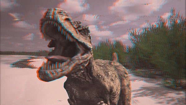 3D-Bild