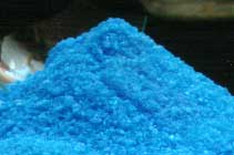 Blaustein