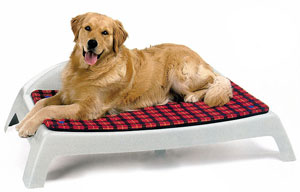 Betten für Hunde