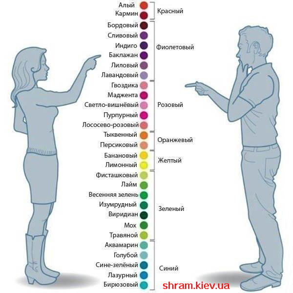 Как мужчины и женщины видят цвета