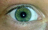 Grüne Augen - Arten von Augenfarben