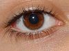 Braune Augen - Arten von Augenfarben