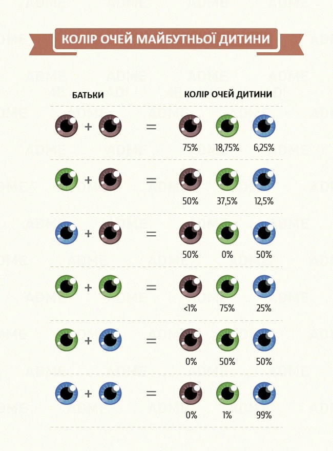 Welche Farbe haben die Augen meines Kindes? Какого цвета будут глаза у моего ребёнка?