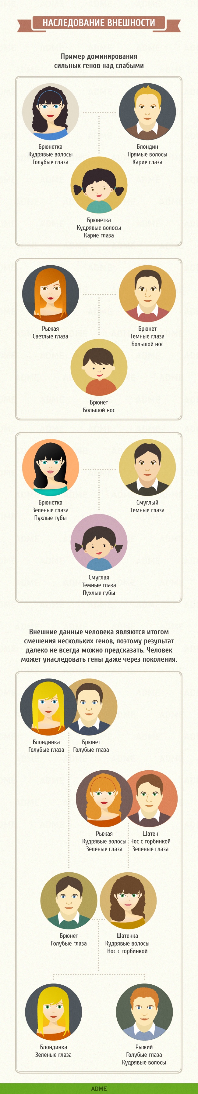 Welche Farbe haben die Augen meines Kindes? Какого цвета будут глаза у моего ребёнка?