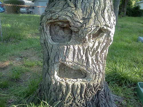 Pareidolia - warum sehen wir das Gesicht Парейдолия - почему мы видим лица