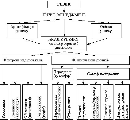 Fahr rizik-Management