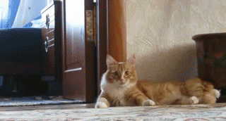 Cartoon Notepad Мультфильм в блокноте